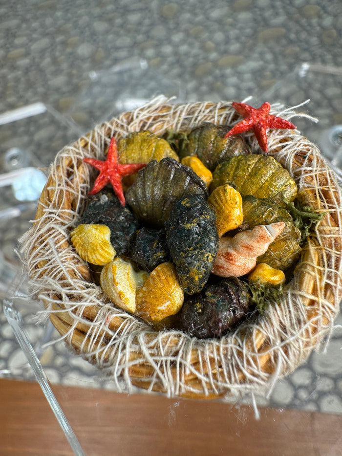 Artisan Handmade Decorated Beach Shells Basket