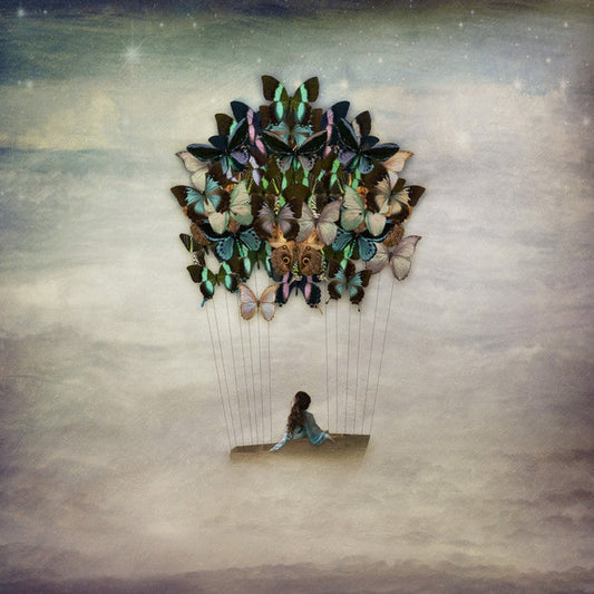 Blissful Drift | Kellie North