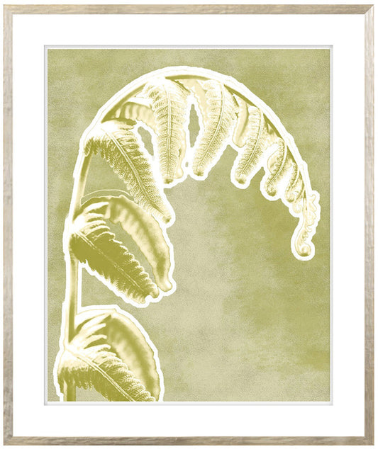 A framed artwork featuring a weeping frond plant in green tones with a contemporary silver profile and raised matte detail.