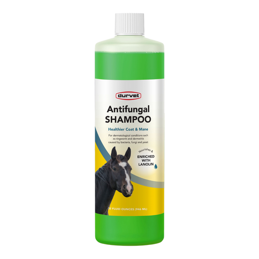 Durvet Antifungal Equine Shampoo | 32 OZ