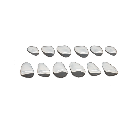 edelweiss Dentistry 2 Veneers Refill Set: 11/21 Extra Small (1x 11, 21 XS)