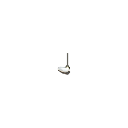 edelweiss Dentistry 2 Veneers Refill Set: 11/21 Small (1x 11, 21 S)