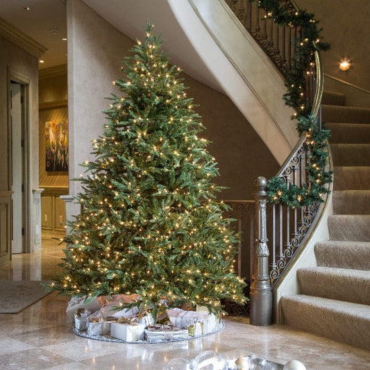 fraser firs make a grand statement when fully decorated in holiday garb
