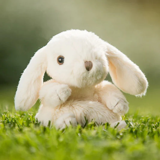 Kanini Bunny Bear