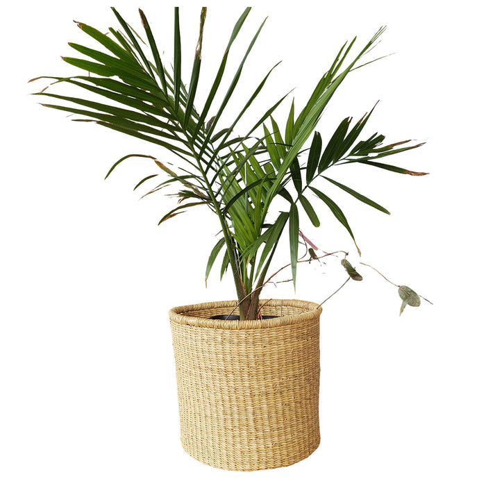 Large Nesting Canister