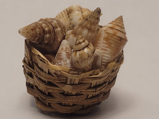 Real Seashells in Woven Basket