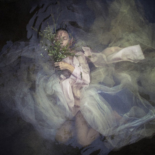 Sound of Silence | Kelly North