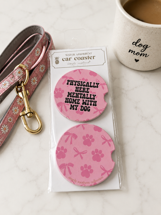 Water Absorbent Car Coasters